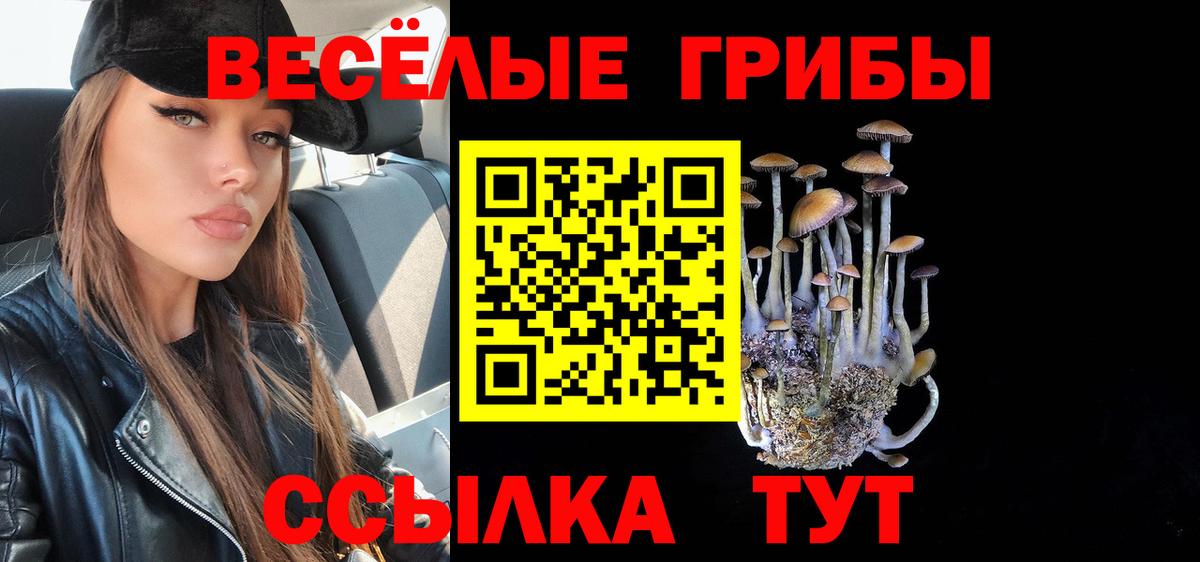 Псилоцибиновые грибы Psilocybe  Псилоцибиновые грибы ЛСД  Вход с VPN  Моздок 