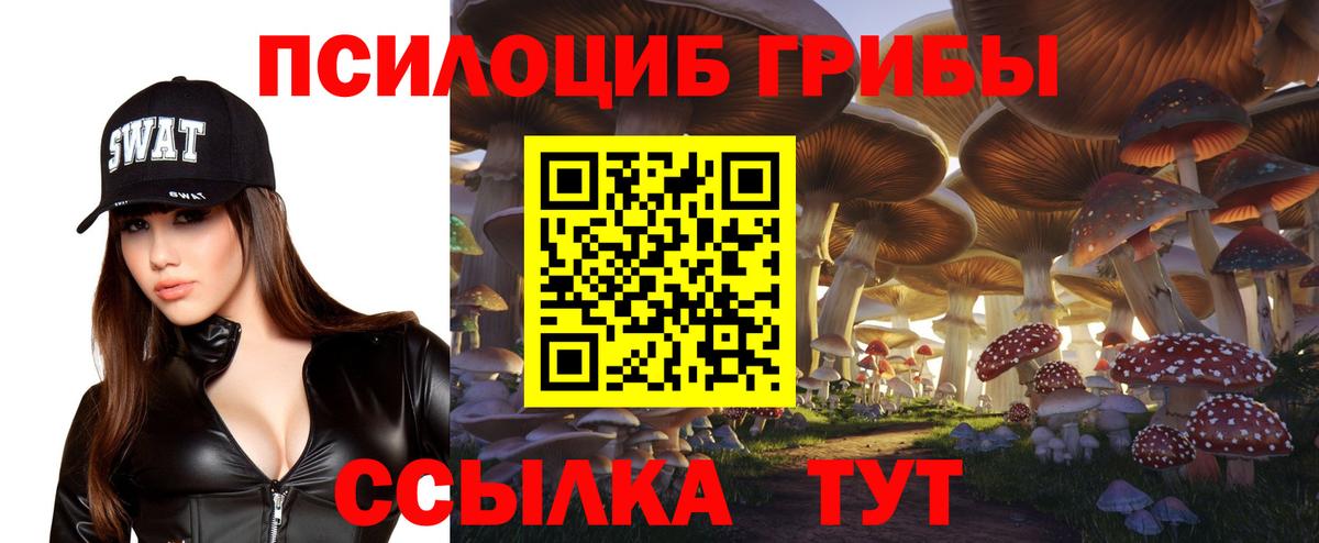 Галлюциногенные грибы Cubensis Моздок